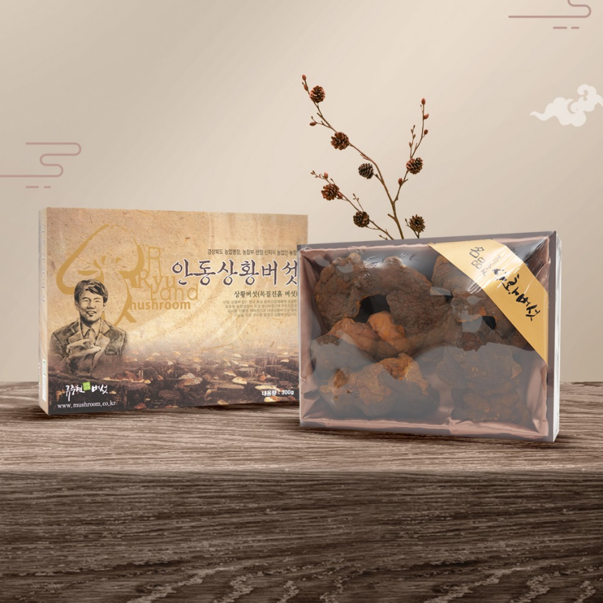 상황버섯(명품) 1kg