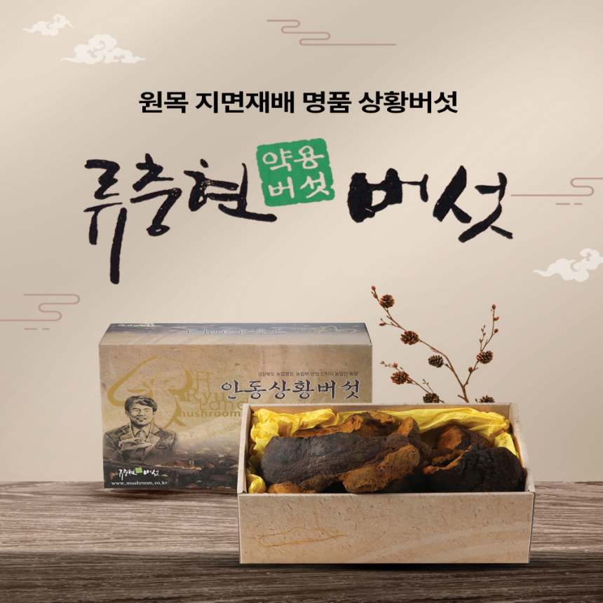 상황버섯(최상품) 500g