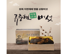 상황버섯(최상품) 500g
