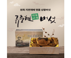 상황버섯(상품) 500g