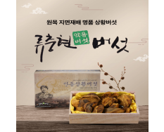 상황버섯(상품) 300g
