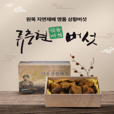 상황버섯(중품) 500g