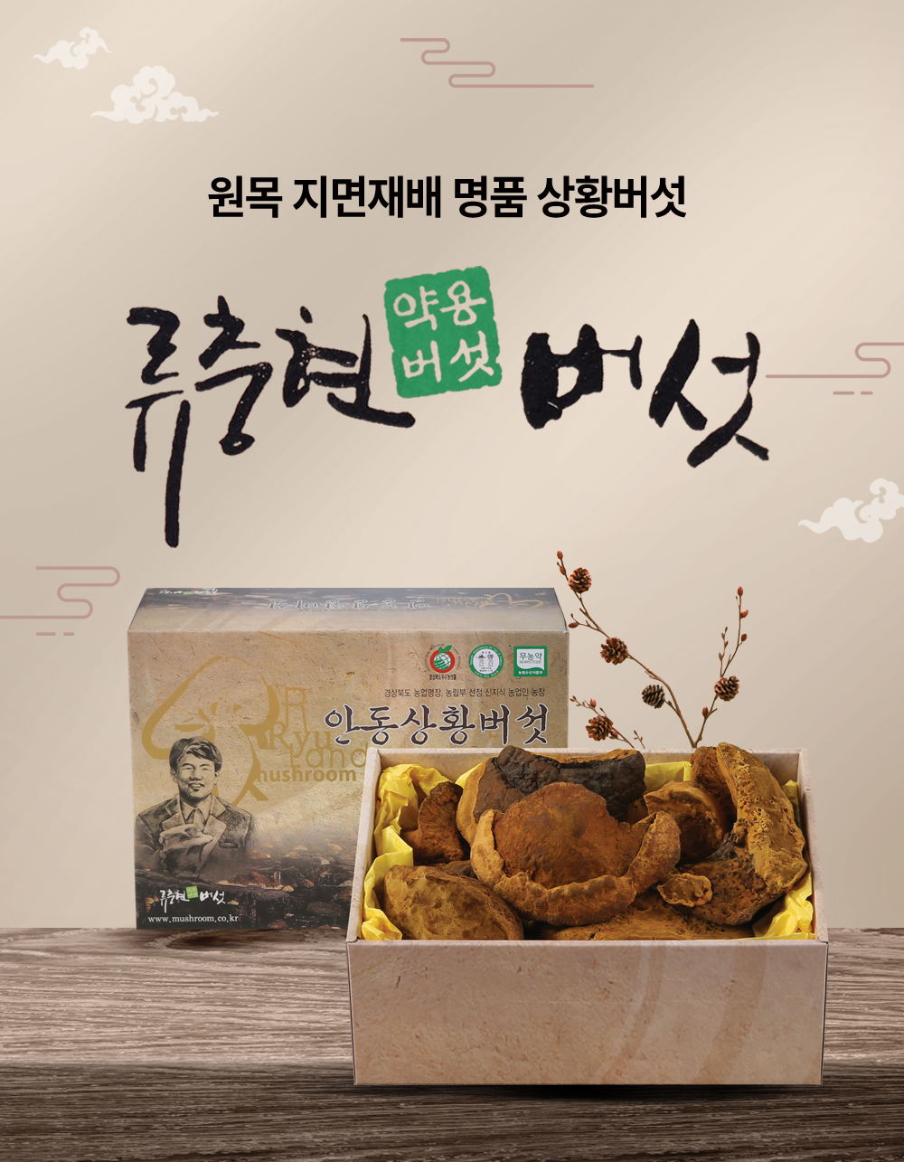 상황버섯(상품) 500g