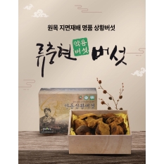 상황버섯(중품) 500g